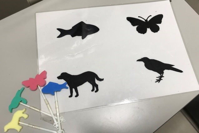 写真：小児の視力検査